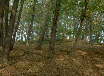 Merry-Go-Round (1980) download