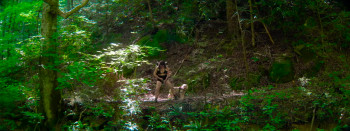 Mile 666 (2025) download