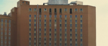 Mirror Life (2025) download