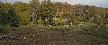 Misericordia (2024) download