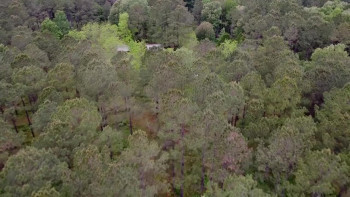 #MissingCouple (2024) download