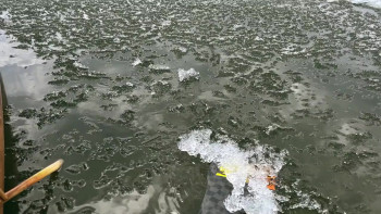 Mississippi Speed Record: An Epic Adventure (2024) download