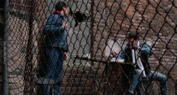 Mixed Blood (1984) download