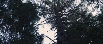 Monster Awakens (2024) download