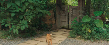 Moon the Panda (2025) download