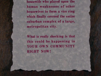 Moonlighting Wives (1966) download