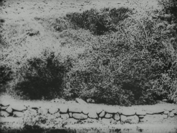 Moonshine (1918) download