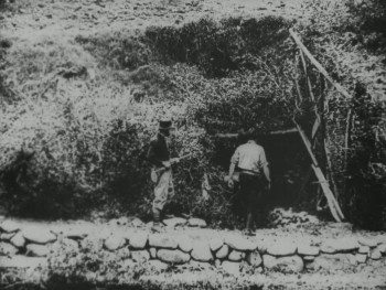 Moonshine (1918) download