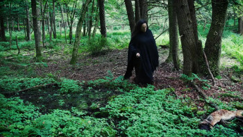 Mother of Flies (2025) download