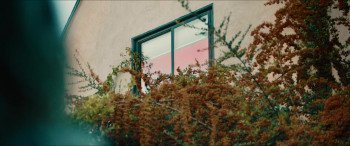 Motion Detected (2023) download