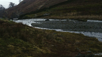 Mountain Shark (2024) download