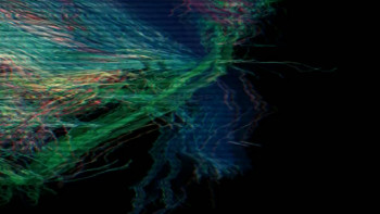 Muse - Live at Rome Olympic Stadium (2013) download