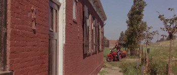 My Nights with Susan, Olga, Albert, Julie, Piet & Sandra (1975) download