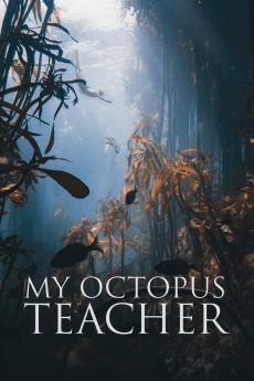 My Octopus Teacher (2020) download