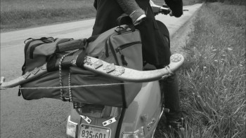 My Worst Nightmare (2011) download