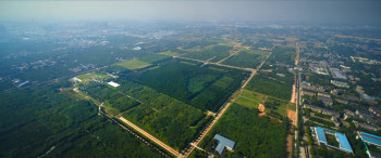 Mysteries of the Terracotta Warriors (2024) download