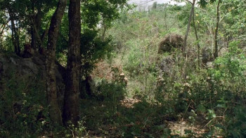 Nam Angels (1989) download