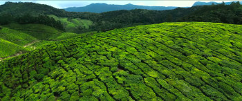 Nari Nari Naduma Murari (2026) download