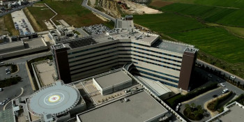 Negligence (2024) download