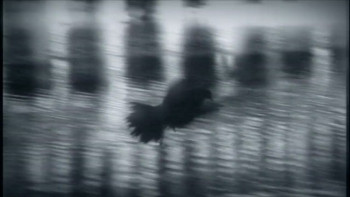 N[eon] (2002) download