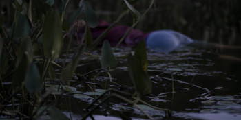 Nesting (2025) download