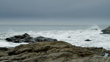 Never Leave Alive (2017) download