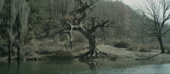 Neverlake (2013) download