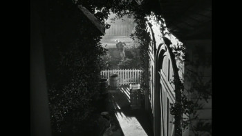 Nick Cave's Veiled World (2025) download