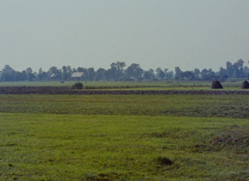 Night and Fog (1956) download