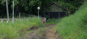 Night of Deception (2025) download