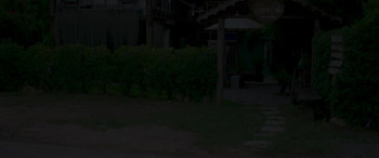 Night of the Killer Bears (2022) download