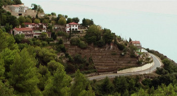 Night of the Templar (2012) download