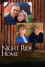 Night Ride Home (1999) download