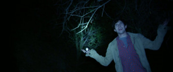 Nightlight (2015) download