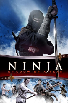 Ninja: Shadow of a Tear (2013) download