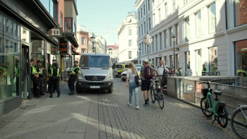 Norwegian Democrazy (2024) download