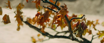 Not a Thing (2022) download