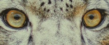 Notice to Quit (2024) download