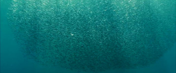 Oceans (2008) download