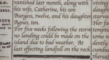 Offspring (2009) download