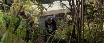 Oliverio y la piscina (2021) download