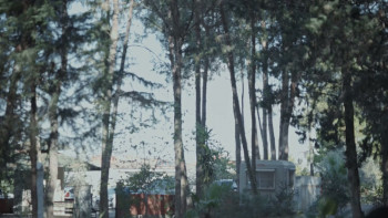 On the Shore (2023) download