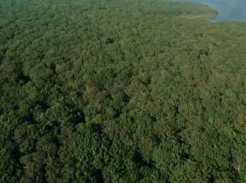 One Big Home (2016) download