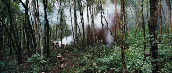 Operation Bangkok (2021) download