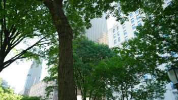 Oscar Wilde About America (2024) download