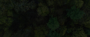 Out Come the Wolves (2024) download