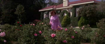 Pajama Party (1964) download