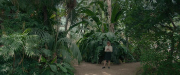 Peacock (2024) download