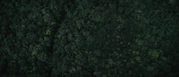 Perfect (2018) download