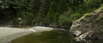 Pete's Dragon (2016) download